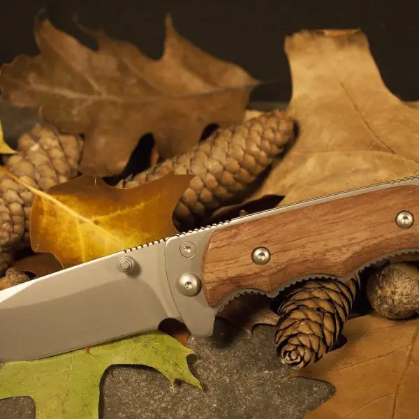 7 Best Bird And Trout Knife Models in 2022 (Reviews & Buying Guide)