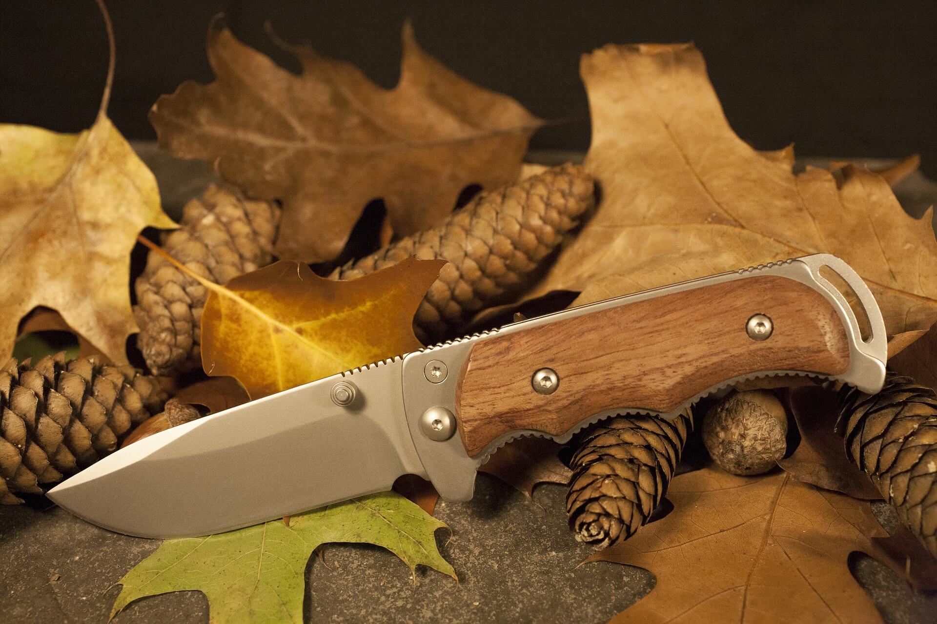 bird and trout knife